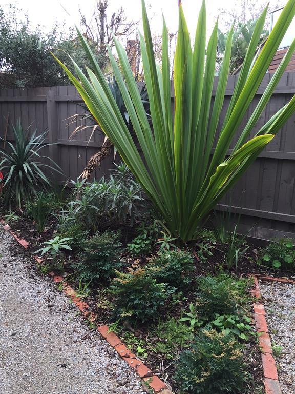 Garden Cottage St Kilda Melbourne Buitenkant foto
